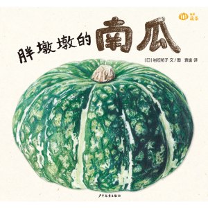 胖墩墩的南瓜