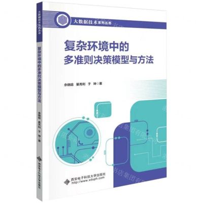 [N]复杂环境中的多准则决策模型与方法/大数据技术系列丛书-9787560667423
