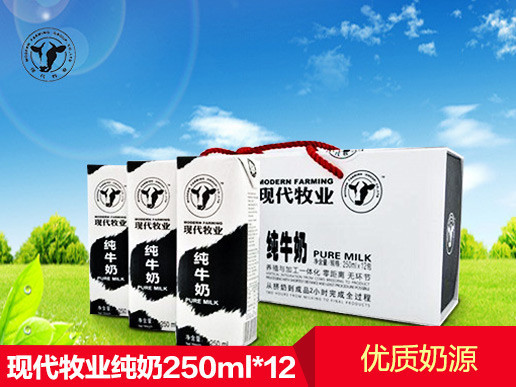现代牧业纯牛奶250ml*12 礼盒装