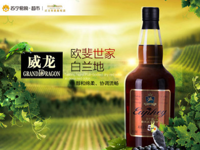 欧斐世家白兰地(陈酿5年)700ml 有机葡萄酒优选威龙苏宁自营