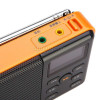 熊猫(PANDA)DS-131 插卡音箱 橙色