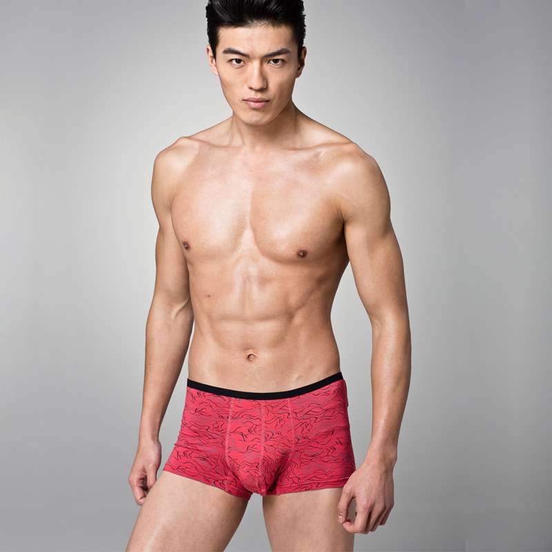 相思鸟再生纤维印花男士平角内裤(四条装)灰色、红色、咖啡色、藏青(XXL/175)SN4213