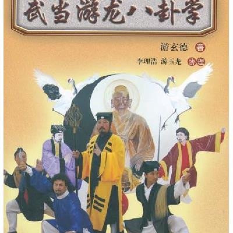 武当游龙八卦掌