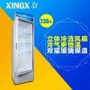 星星(XINGX) LSC-236C 236升 直冷商用展示柜(浅灰色)