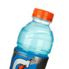佳得乐蓝莓运动饮料600mL*12