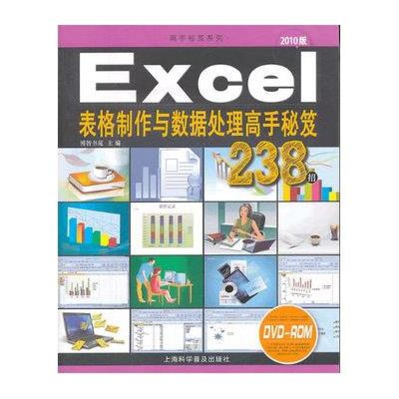 Excel表格制作与数据处理高手秘笈238招（赠光盘）