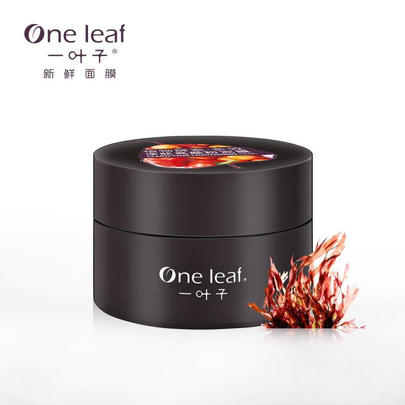 一叶子植物酵素多效泥面膜150g