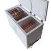 索伊（Soyea）BCD-220SM 220L双门小型冰柜家用双温冷柜商用冷冻柜