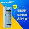 雪村(Xuecun) LC-258A 258升单门陈列柜冰柜冰箱 立式保鲜柜冷柜 超市啤酒饮料柜 商用展示柜