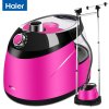 haier/海尔HY-GF2510R家用服装店蒸汽分体独立双杆挂烫机熨斗挂式