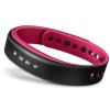 GARMIN 运动健康监测手环 vivosmart（紫色小号）