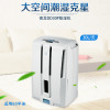 意大利德龙(DeLonghi) DD30P 除湿机 30L/24H 家用抽湿机 地下室吸湿机