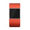 Fitbit Surge智能乐活全能运动手表 (L) FB501TAL-CN