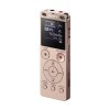 索尼（SONY）ICD-UX560F （金色） 数码录音棒 高质量数码录音笔 线性PCM/MP3录音格式 焦点 & 宽广立体声录音功能