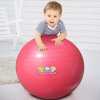 Fisher Price 费雪 65cm 瑜伽健身球 瘦身美体马甲线锻炼 婴幼儿感统训练球——红色