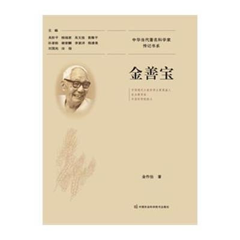 金善