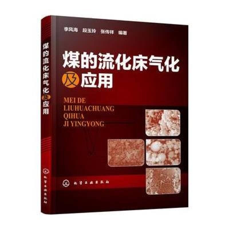 煤的流化床气化及应用