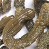咸亨 小脆瓜 230g