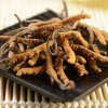 位元堂 西藏那曲 冬虫夏草 足干野生虫草1g装