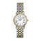 天梭TISSOT经典系列女士石英手表金属表带女士手表钟表T52.2.281.31 T52.5.111.31
