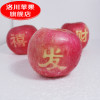 洛川红富士 20枚85大果 新鲜水果陕西延安洛川苹果