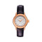 天梭(TISSOT)手表 卡森系列机械情侣表女表 T085.207.36.011.00 女表