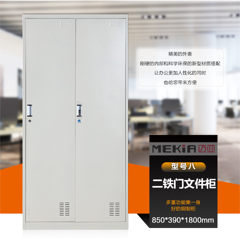 凭证柜财务凭证柜铁皮柜 办公文件柜铁皮带锁 通铁门资料柜员工柜 迈亚家具 0.5mm标准款.