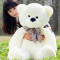 公仔大号泰迪熊猫女孩毛绒玩具布娃娃抱抱熊玩偶情人节生日礼物 100cm 白色
