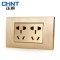 正泰(CHNT)电工118型PVC材质电源插座NEW5D拉丝金二位二插五孔插座面板 拉丝金 二位二插