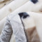 沿蔻 双层工艺毛毯 婚庆盖毯加大加厚 拉舍尔毛毯 保暖秋冬礼品毯子 200×230cm约10斤 天赐良缘1