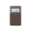 Sony/索尼 SRF-V1BT 蓝牙音箱兼FM/AM收音机 便携音箱 棕色