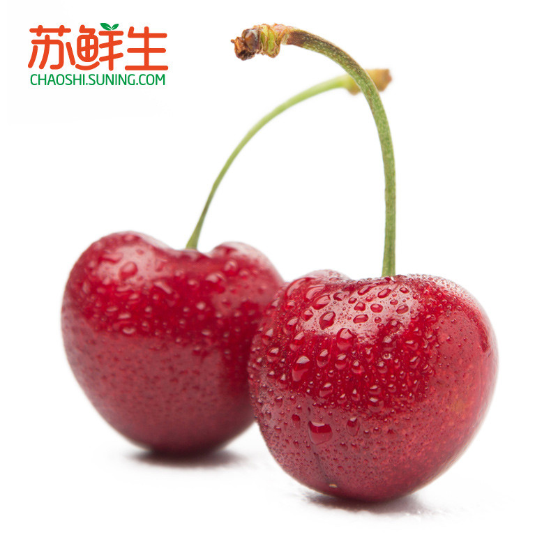 【苏鲜生】智利车厘子红樱桃500g