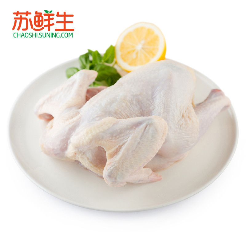 【苏鲜生】裴顿童子鸡800g