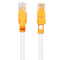 包尔星克（PowerSync）CLN5GAR8010系列 Cat5超五类网线抗摇摆圆线 双色 双绞 百兆 贝吉色配橘色头 20米CLN5GAR8200