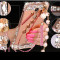 JSB 镜面水钻支架金属边框PC后盖珍珠链手机壳保护套 适用于小米红米note3/5.5屏 土豪金-香水瓶-皇冠+珍珠挂链
