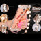 JSB 镜面水钻支架金属边框后背板珍珠链手机壳保护套 适用于乐视1pro/X800 玫瑰金-香水瓶-皇冠+珍珠挂链
