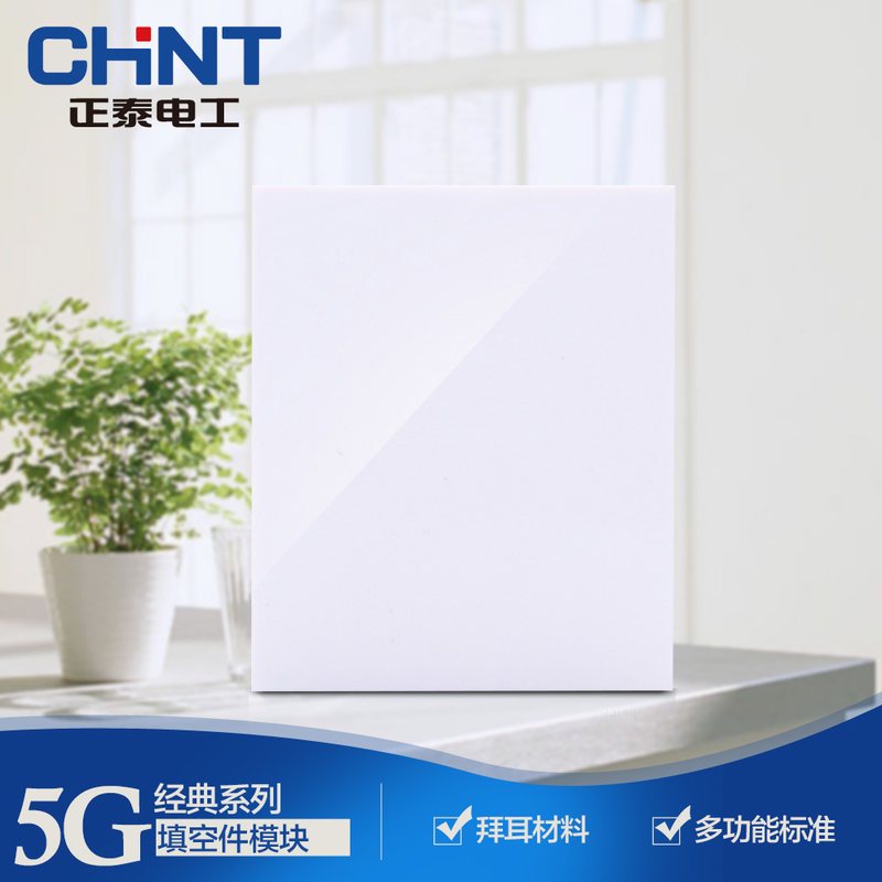 正泰(CHNT)电工电源插座118型PVC材质开关插座面板 墙壁开关 NEW5G 组装模块 填空件 模块