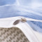 南极人(NanJiren)家纺 ins简约四件套单双人床单臻丝棉缎轻奢风被套1.8米网红款2.0m床上用品 兰朵 适用1.5/1.8m床-被套200×230cm