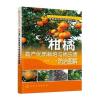 果树栽培修剪图解丛书--柑橘高产优质栽培与病虫害防治