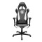 DXRacer ENVYUS战队限量版/公共款