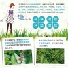 公园路边野菜轻松识：一眼认出食用野菜