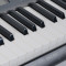 CASIO卡西欧CTK-2500/3500/1500成人儿童教学力度61键考级智能电子琴 CTK-3500+琴架+琴罩+耳机+接头+擦琴布=899