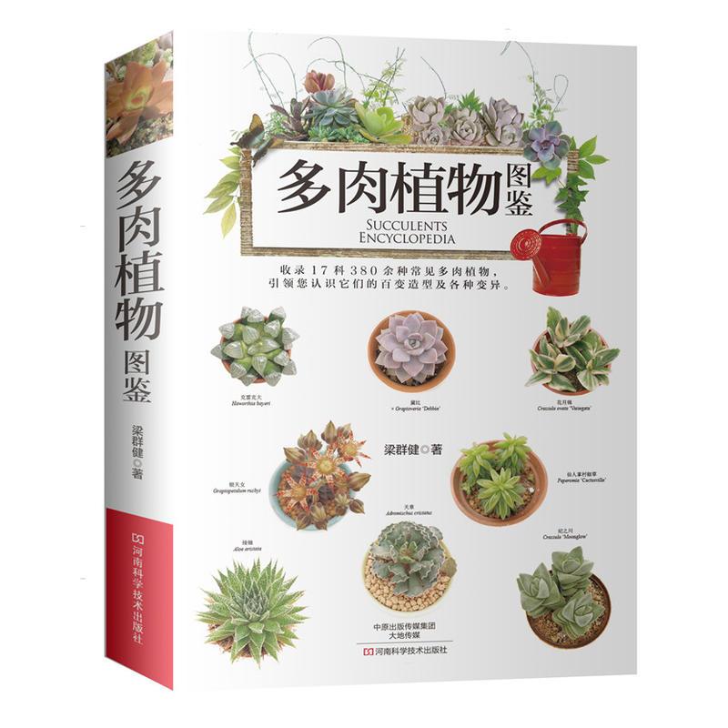 多肉植物图鉴