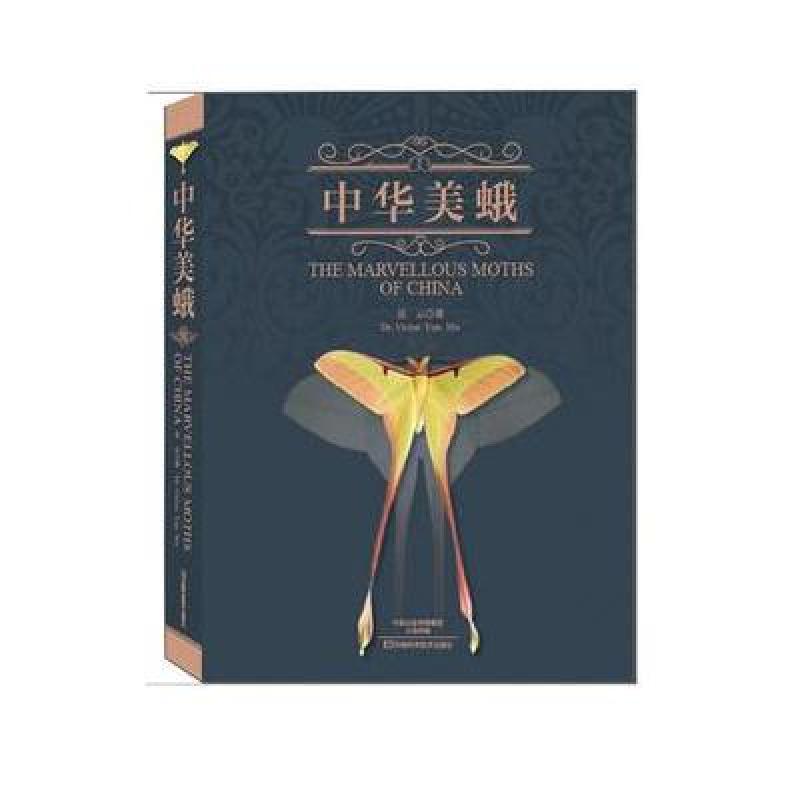 中华美蛾