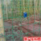 小孔细铁丝网围栏养殖网家用荷兰网养鸡网防护网钢丝网隔离网铁网_1