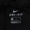 Nike耐克男装短裤2017冬季新款训练吸湿排汗透气运动裤833371 XXL 黑色
