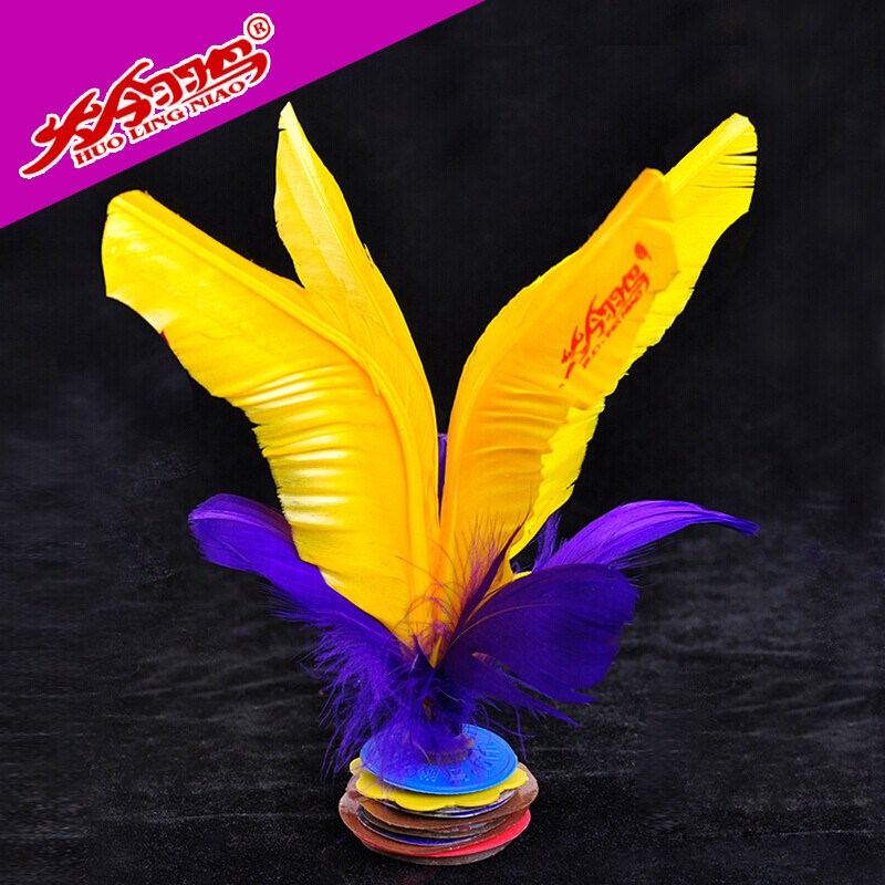 闪电客毽子好朋友升级款毽球鹅毛鸡毛键子比赛专用花毽 白色柔版大号火翎鸟10个、