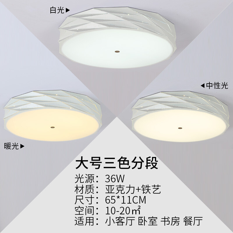 吸顶灯家用几何个性遥控房间灯节能韩式书房艺术顶灯圆形卧室灯 65CM-三色分段-36W
