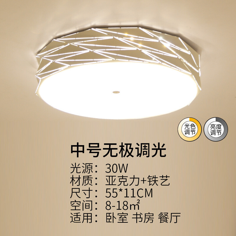 吸顶灯家用几何个性遥控房间灯节能韩式书房艺术顶灯圆形卧室灯 55CM-无极调光-30W