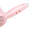 雷瓦（RIWA）电吹风 RC-7110